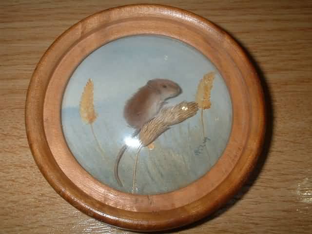 Harvest Mouse